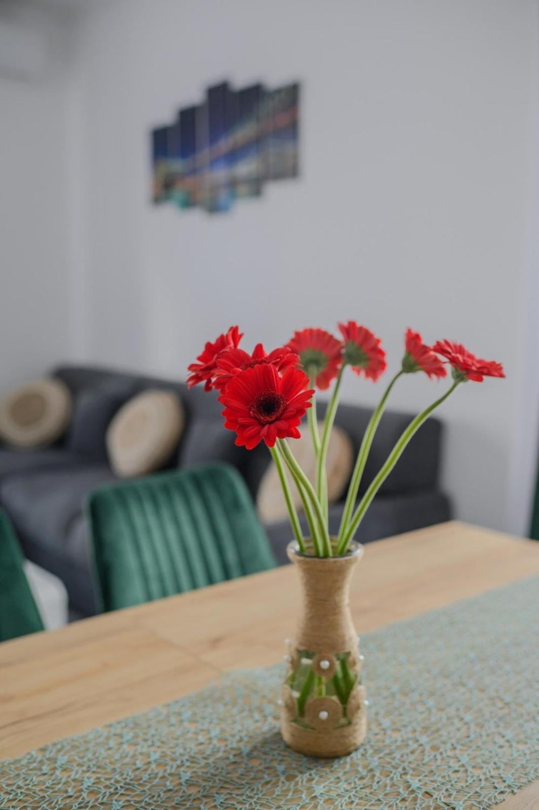 Apartament Radiana Băile Felix Exterior foto